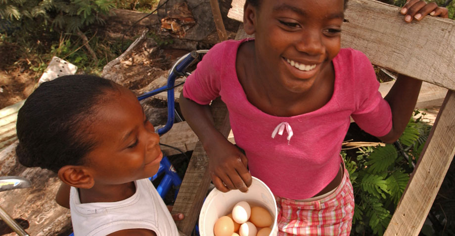 Carne Huevos Y Leche Son Fuente Esencial De Nutrientes En Especial Para Los Más Vulnerables 5234