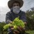 México logra cifra récord de 184 mdd en envío de alimentos al Reino Unido