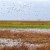 Cargill y Global Water Challenge amplían su colaboración a cuatro países adicionales