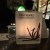 Tequila Design celebra 10 años de tradición e innovación en Guadalajara