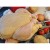 Producción de pollo en México crecerá 2% en 2027: USDA