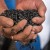 México proyecta inversión histórica de 17,266 mdp para el campo agrícola de Zacatecas